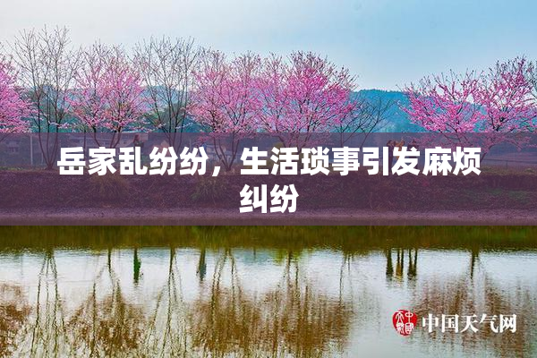 岳家乱纷纷，生活琐事引发麻烦纠纷