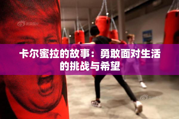 卡尔蜜拉的故事：勇敢面对生活的挑战与希望