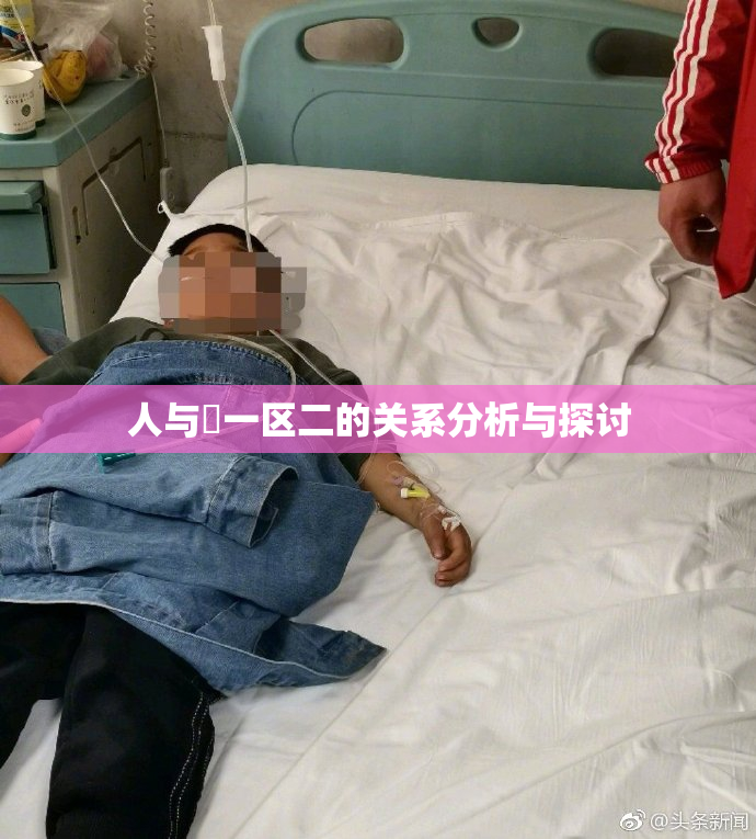 人与嘼一区二的关系分析与探讨