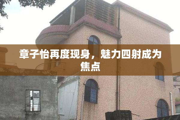 章子怡再度现身，魅力四射成为焦点