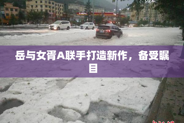 岳与女胥A联手打造新作，备受瞩目