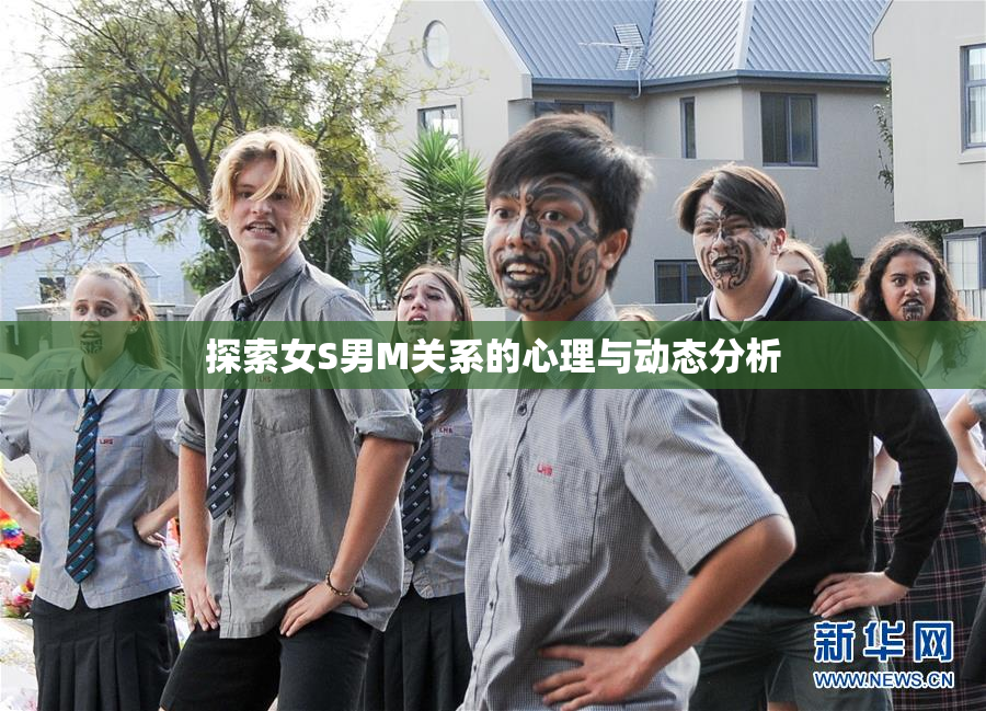 探索女S男M关系的心理与动态分析