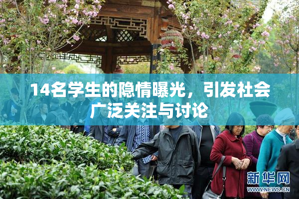 14名学生的隐情曝光，引发社会广泛关注与讨论