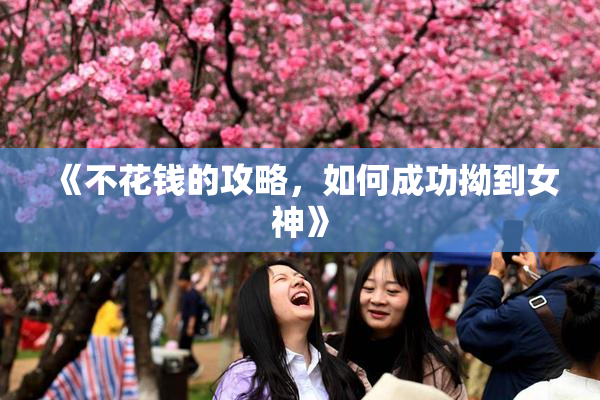 《不花钱的攻略，如何成功拗到女神》