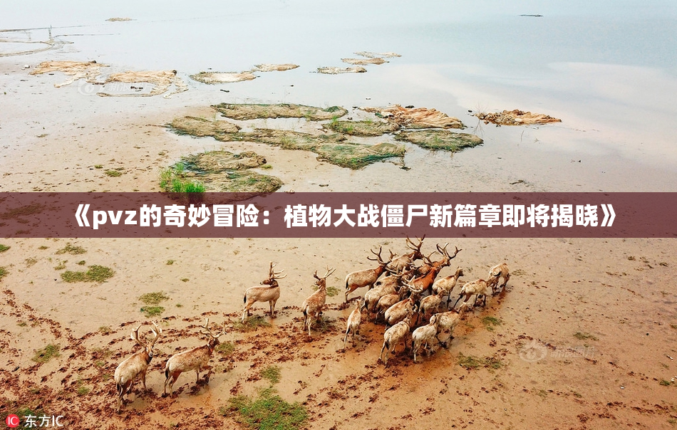 《pvz的奇妙冒险：植物大战僵尸新篇章即将揭晓》
