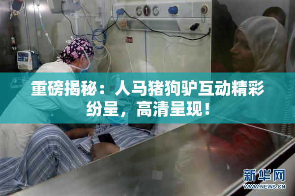 重磅揭秘：人马猪狗驴互动精彩纷呈，高清呈现！