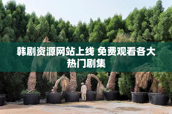 韩剧资源网站上线 免费观看各大热门剧集
