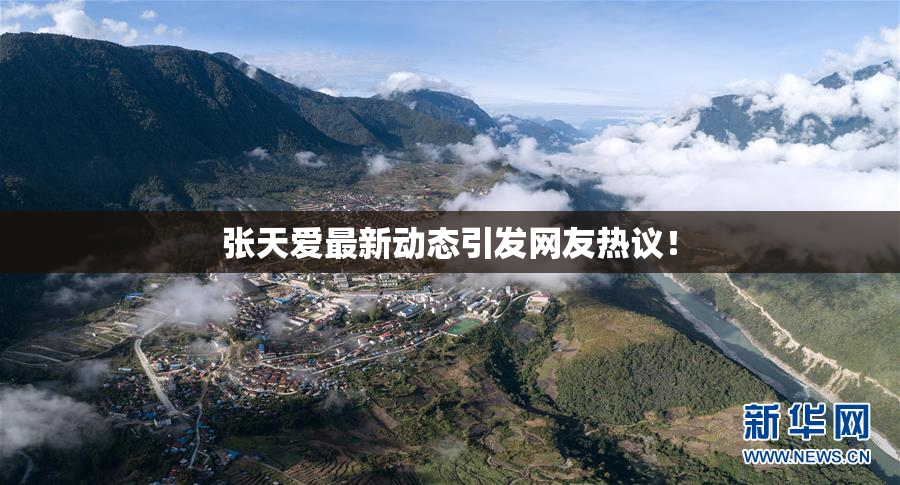 张天爱最新动态引发网友热议！