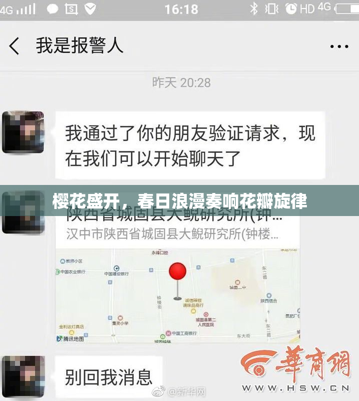 樱花盛开，春日浪漫奏响花瓣旋律