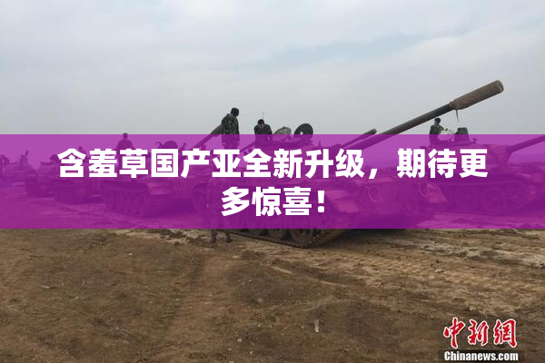 含羞草国产亚全新升级，期待更多惊喜！