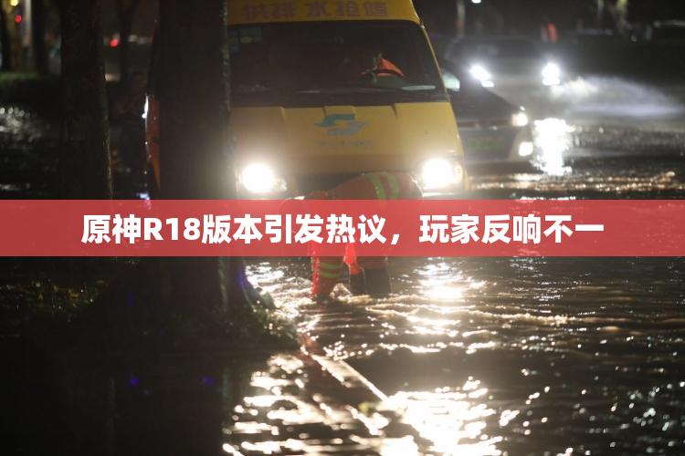 原神R18版本引发热议，玩家反响不一