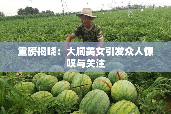 重磅揭晓：大胸美女引发众人惊叹与关注