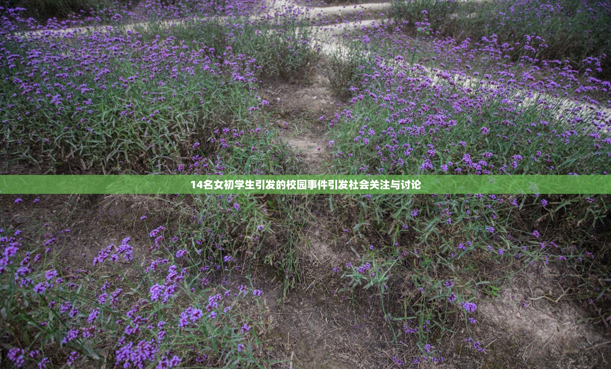 14名女初学生引发的校园事件引发社会关注与讨论