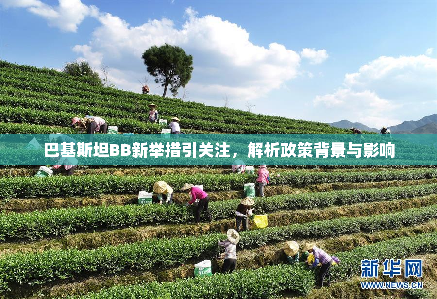巴基斯坦BB新举措引关注，解析政策背景与影响