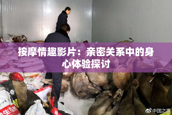 按摩情趣影片：亲密关系中的身心体验探讨