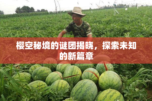 樱空秘境的谜团揭晓，探索未知的新篇章