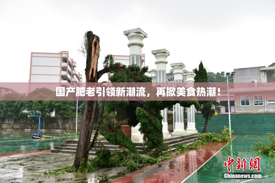 国产肥老引领新潮流，再掀美食热潮！