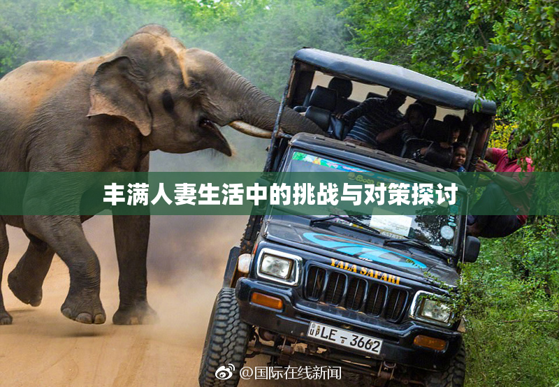 丰满人妻生活中的挑战与对策探讨