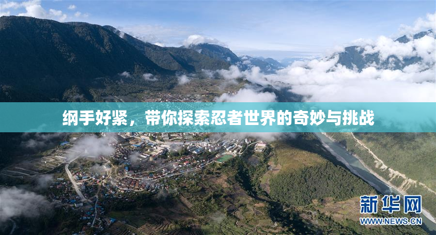 纲手好紧，带你探索忍者世界的奇妙与挑战