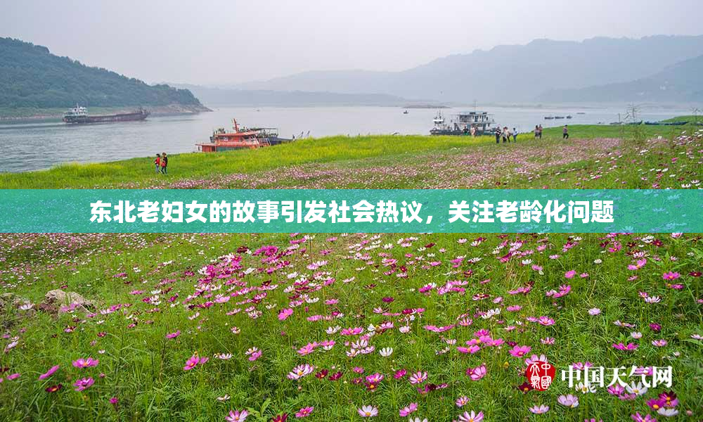 东北老妇女的故事引发社会热议，关注老龄化问题