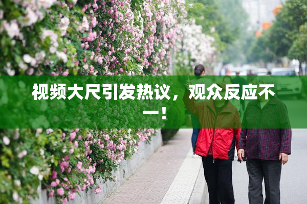 视频大尺引发热议，观众反应不一！