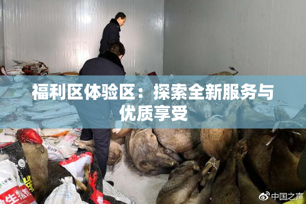福利区体验区：探索全新服务与优质享受
