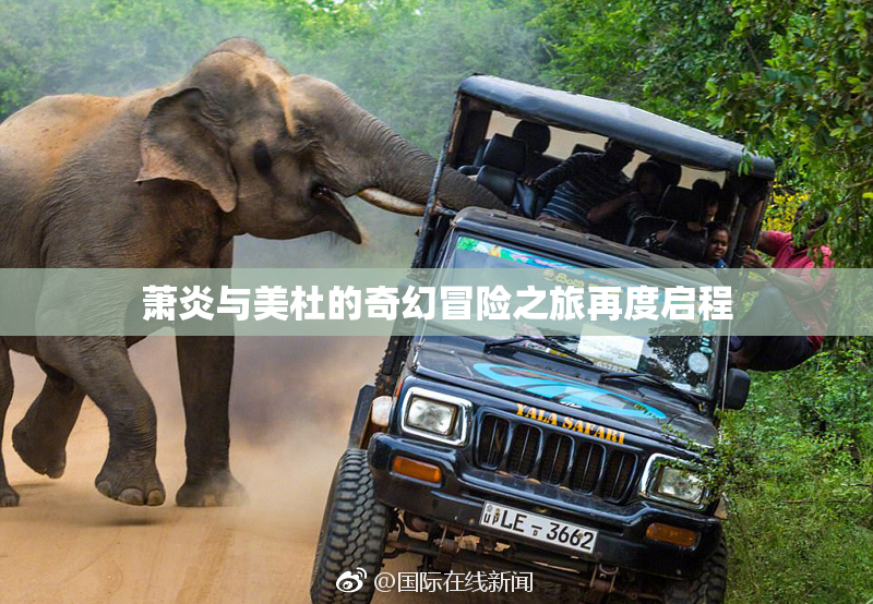 萧炎与美杜的奇幻冒险之旅再度启程