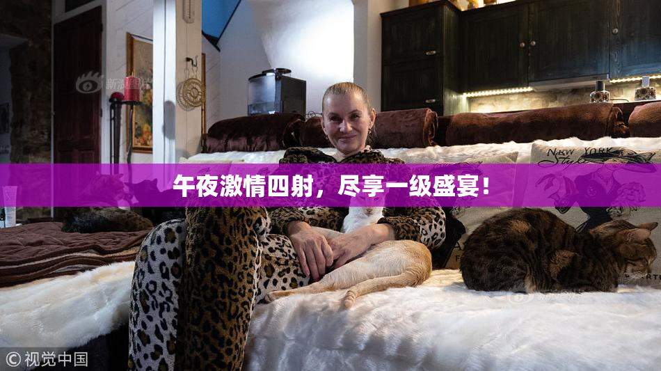 午夜激情四射，尽享一级盛宴！