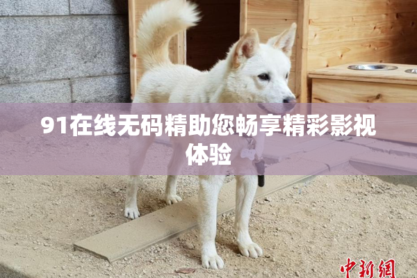 91在线无码精助您畅享精彩影视体验