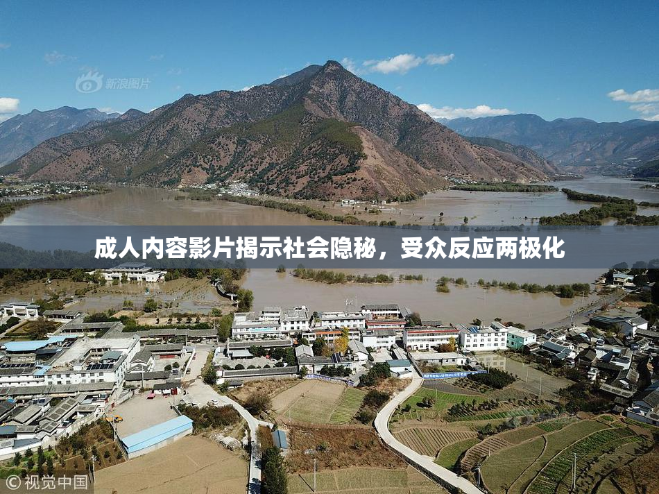 成人内容影片揭示社会隐秘，受众反应两极化