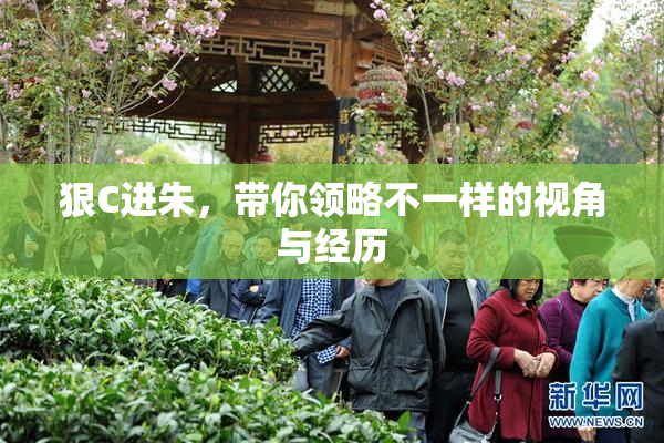 狠C进朱，带你领略不一样的视角与经历