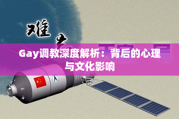 Gay调教深度解析：背后的心理与文化影响