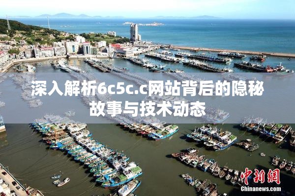 深入解析6c5c.c网站背后的隐秘故事与技术动态
