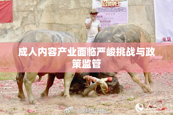 成人内容产业面临严峻挑战与政策监管