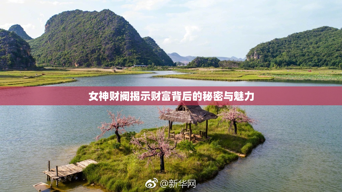 女神财阀揭示财富背后的秘密与魅力