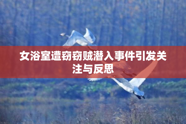 女浴室遭窃窃贼潜入事件引发关注与反思