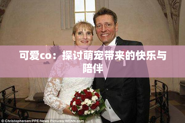 可爱co：探讨萌宠带来的快乐与陪伴