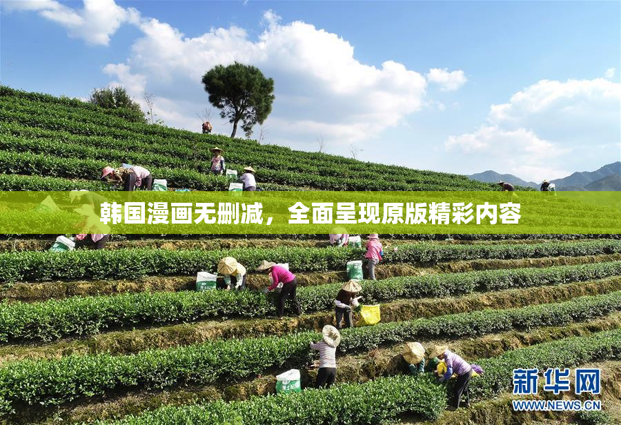 韩国漫画无删减，全面呈现原版精彩内容