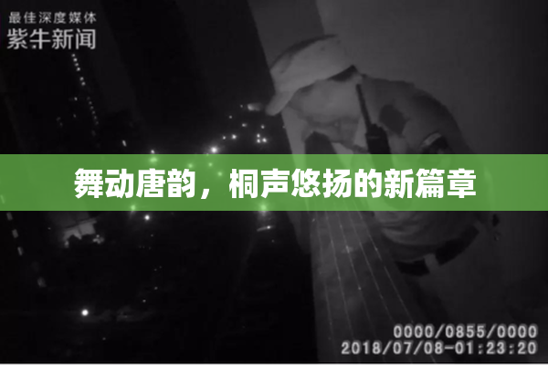 舞动唐韵，桐声悠扬的新篇章