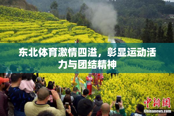 东北体育激情四溢，彰显运动活力与团结精神