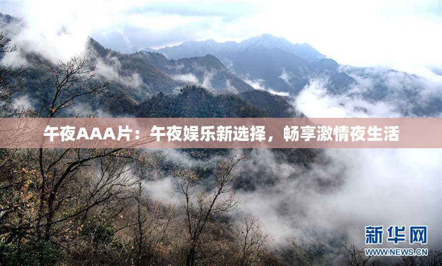 午夜AAA片：午夜娱乐新选择，畅享激情夜生活