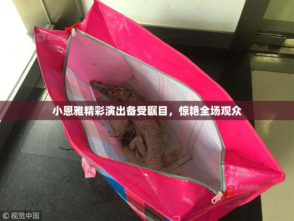 小恩雅精彩演出备受瞩目，惊艳全场观众