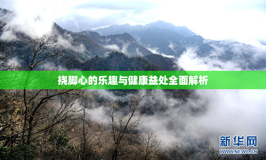 挠脚心的乐趣与健康益处全面解析
