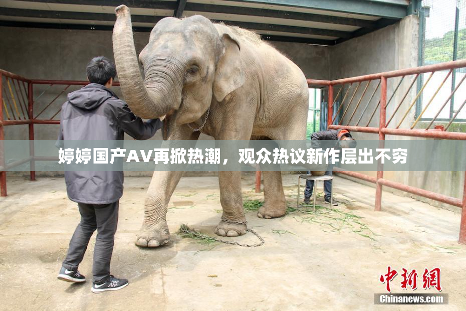 婷婷国产AV再掀热潮，观众热议新作层出不穷