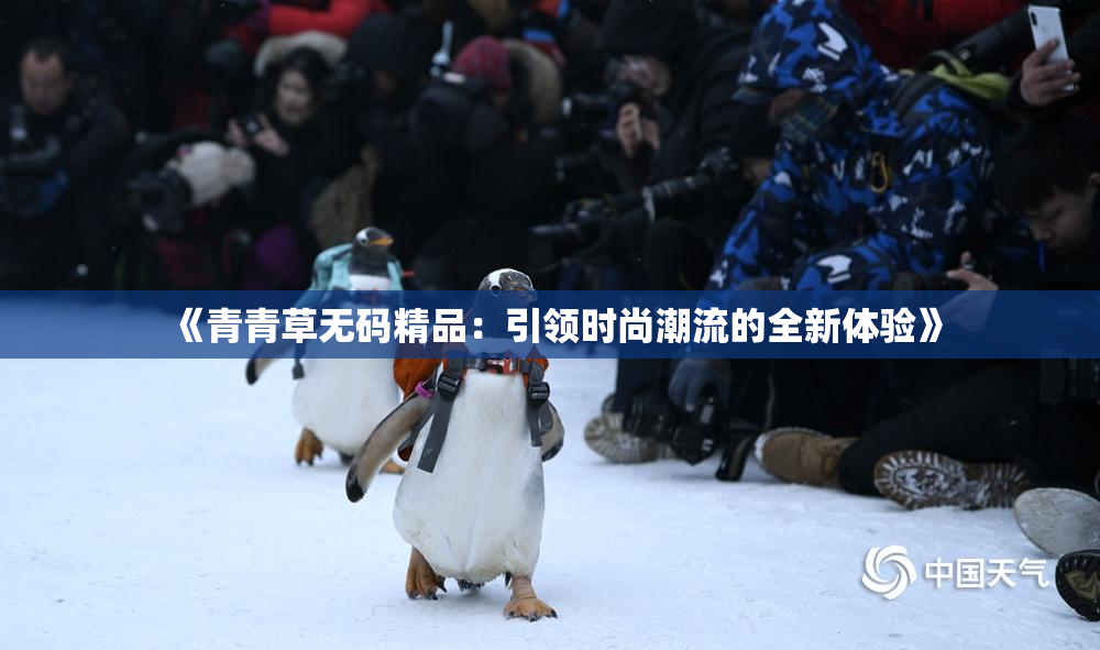 《青青草无码精品：引领时尚潮流的全新体验》