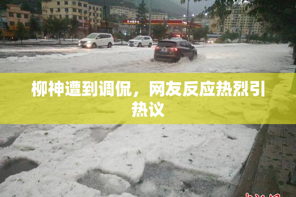 柳神遭到调侃，网友反应热烈引热议