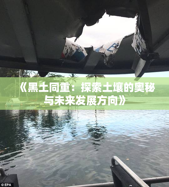 《黑土同重：探索土壤的奥秘与未来发展方向》