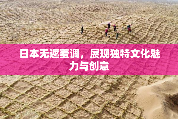 日本无遮羞调，展现独特文化魅力与创意