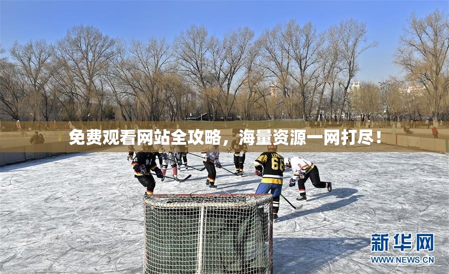 免费观看网站全攻略，海量资源一网打尽！