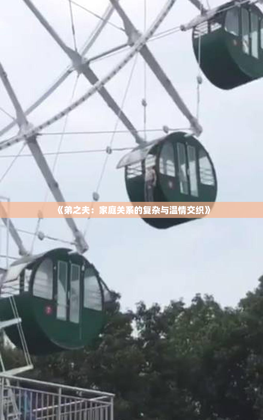 《弟之夫：家庭关系的复杂与温情交织》